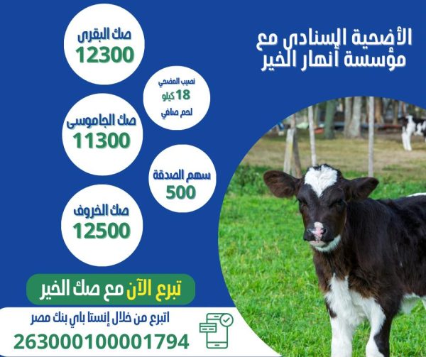 ⁦شارك أضحيتك مع أنهار الخير⁩ - الصورة ⁦2⁩