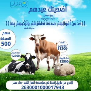 شارك أضحيتك مع أنهار الخير