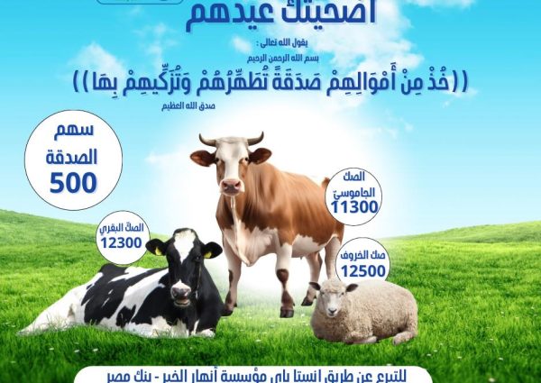 شارك أضحيتك مع أنهار الخير