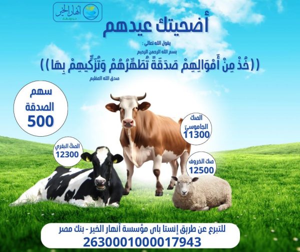⁦شارك أضحيتك مع أنهار الخير⁩ - الصورة ⁦4⁩
